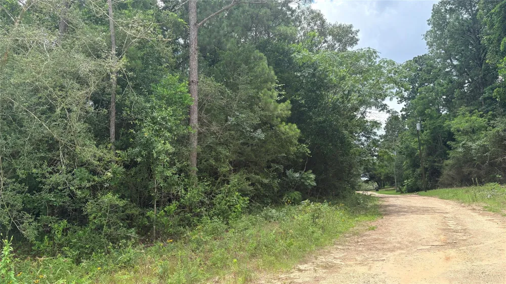 1 Millcreek Drive Ivanhoe, TX 75979