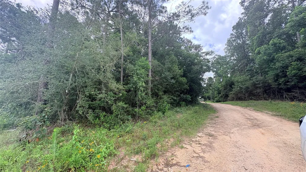 1 Millcreek Drive Ivanhoe, TX 75979