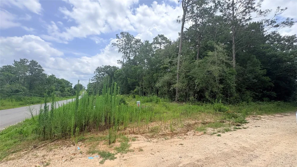 1 Millcreek Drive Ivanhoe, TX 75979