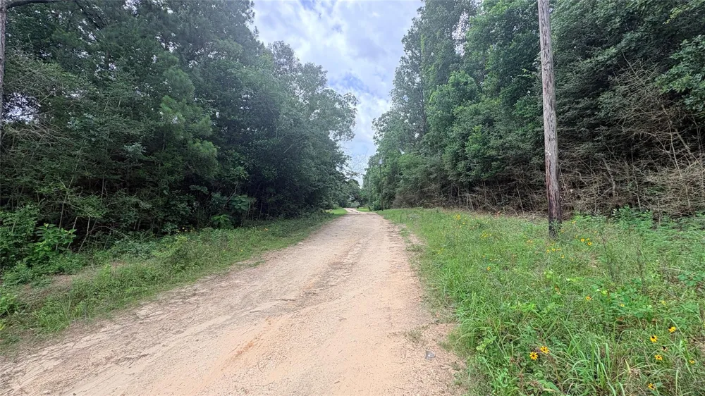 1 Millcreek Drive Ivanhoe, TX 75979