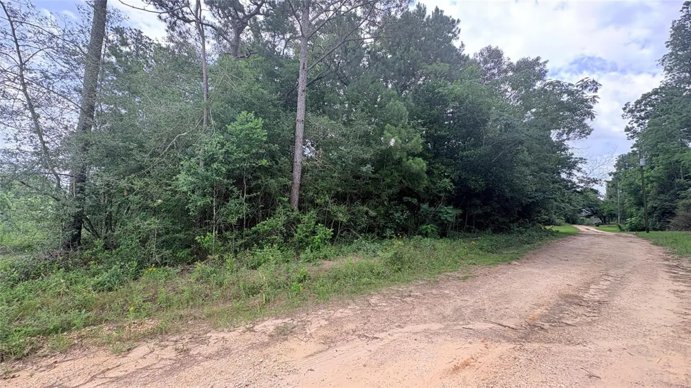 1 Millcreek Drive Ivanhoe, TX 75979