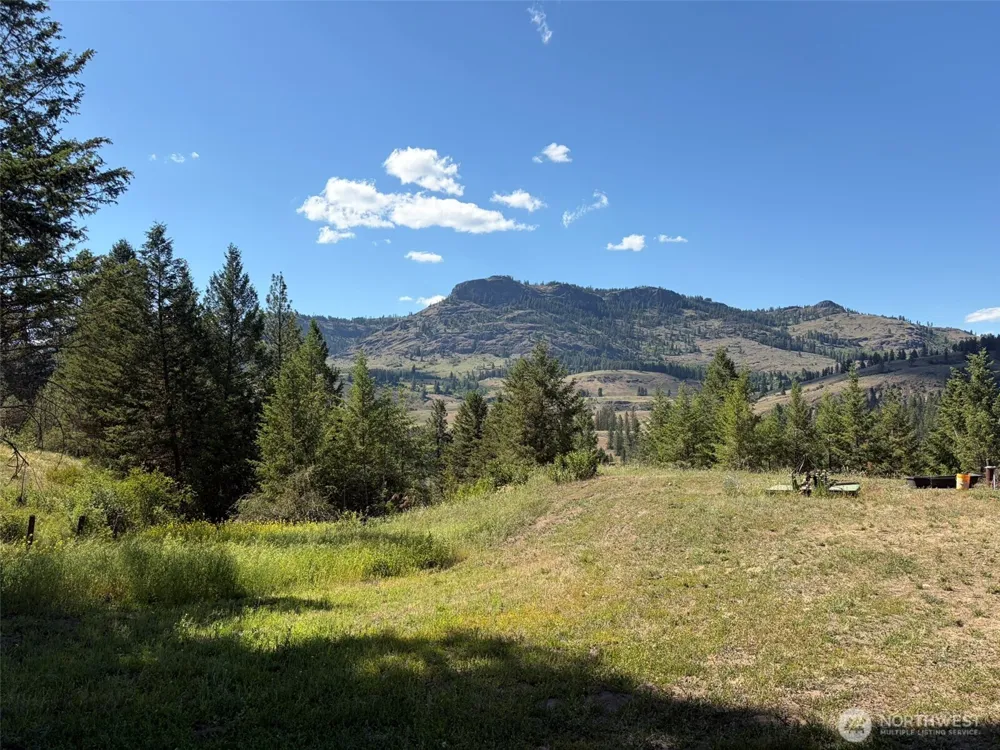 88 Little Bear Road Republic, WA 99166