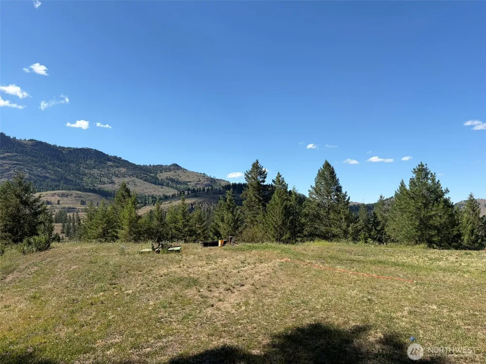 88 Little Bear Road Republic, WA 99166