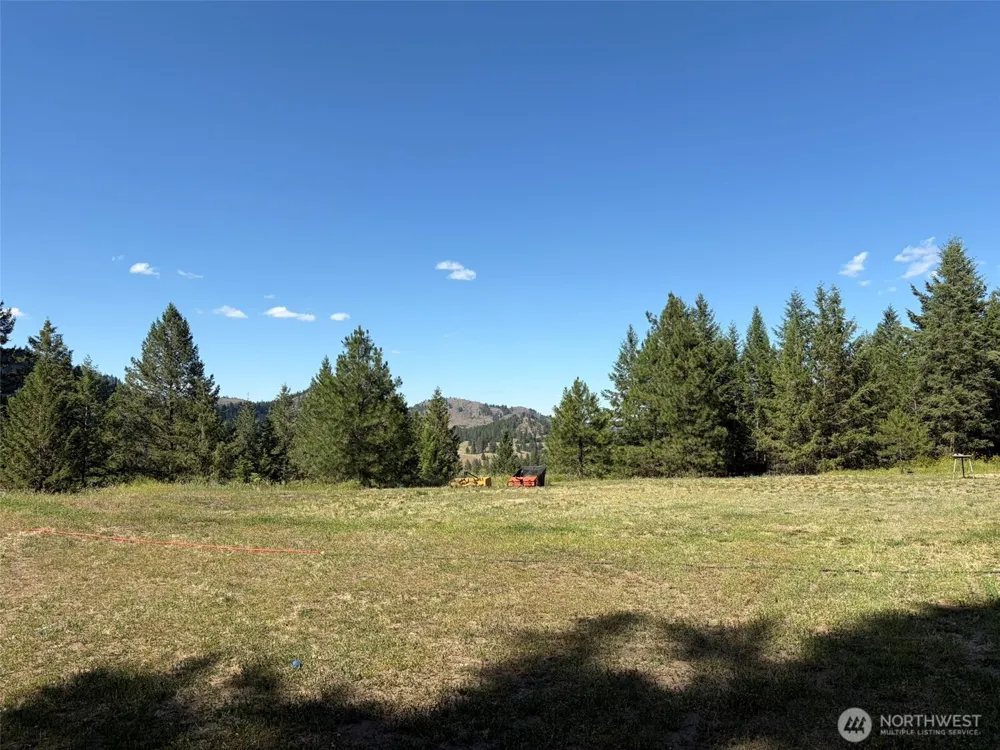 88 Little Bear Road Republic, WA 99166