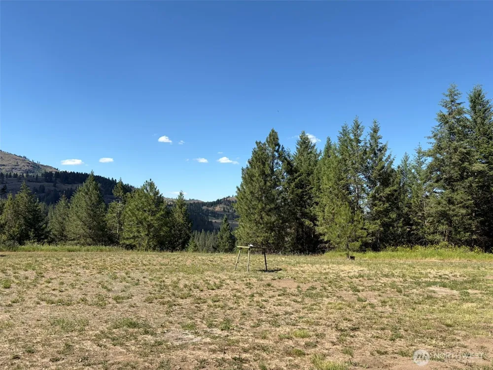 88 Little Bear Road Republic, WA 99166