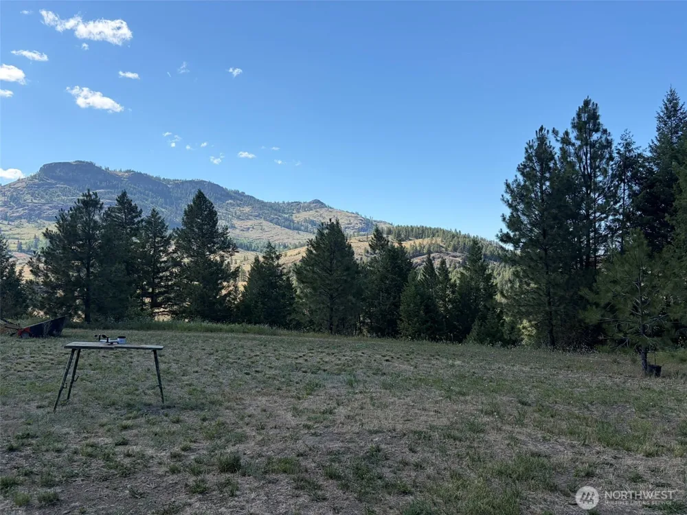88 Little Bear Road Republic, WA 99166
