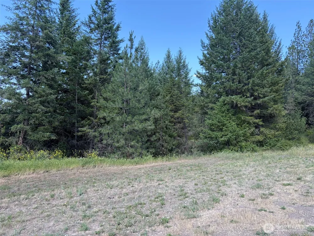 88 Little Bear Road Republic, WA 99166