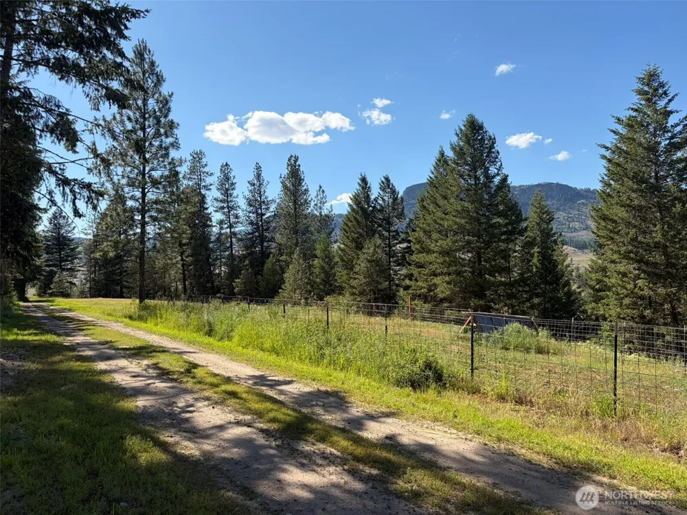 88 Little Bear Road Republic, WA 99166