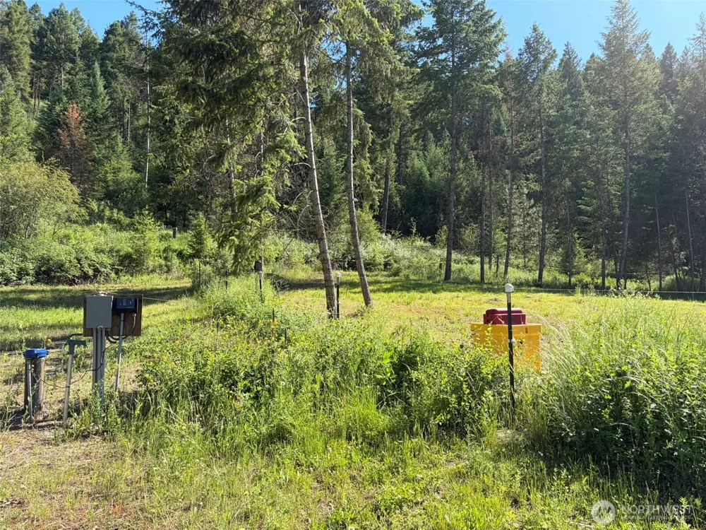 88 Little Bear Road Republic, WA 99166