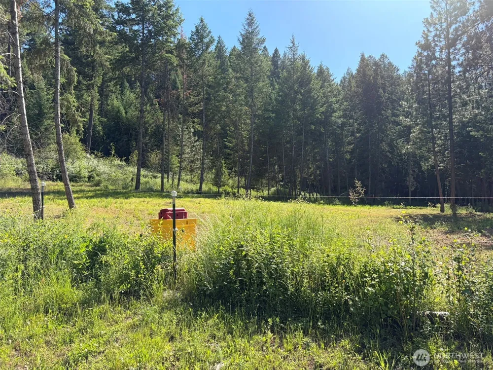 88 Little Bear Road Republic, WA 99166
