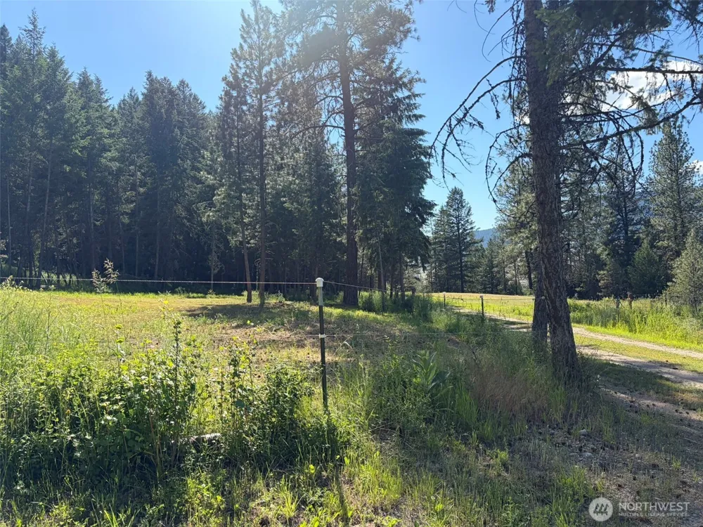 88 Little Bear Road Republic, WA 99166