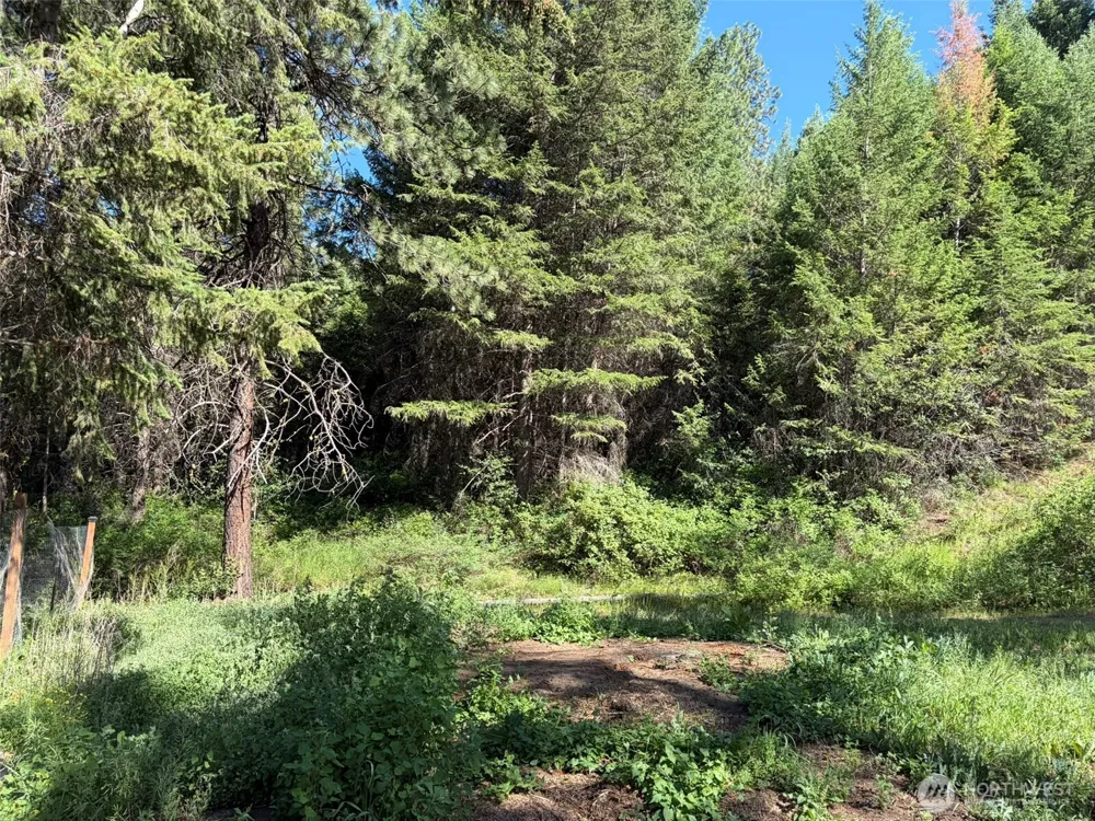 88 Little Bear Road Republic, WA 99166