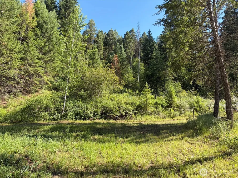88 Little Bear Road Republic, WA 99166