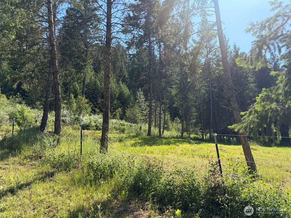 88 Little Bear Road Republic, WA 99166