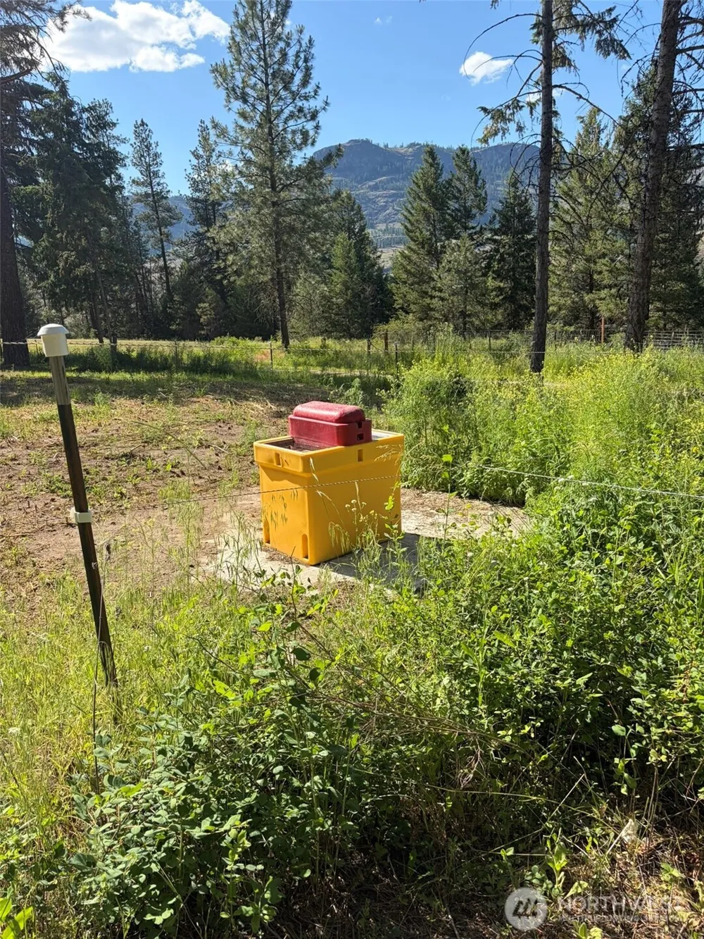 88 Little Bear Road Republic, WA 99166