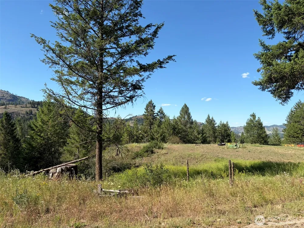 88 Little Bear Road Republic, WA 99166