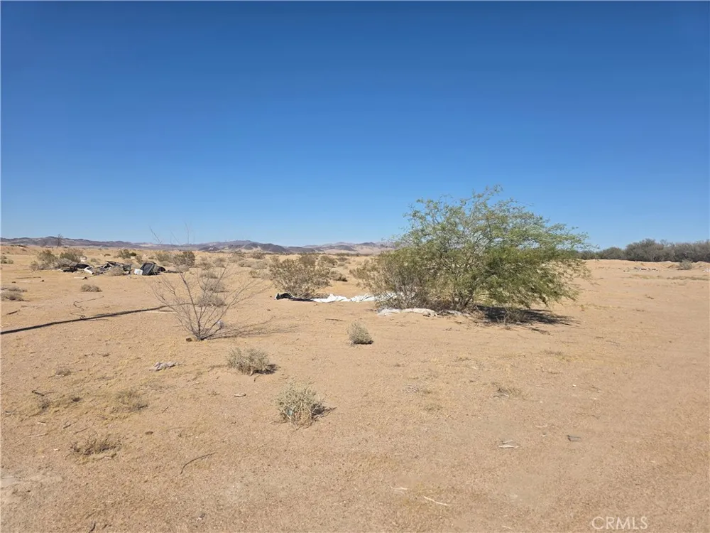 32398 Fort Cady Road Newberry Springs, CA 92365