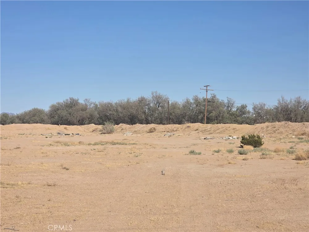 32398 Fort Cady Road Newberry Springs, CA 92365