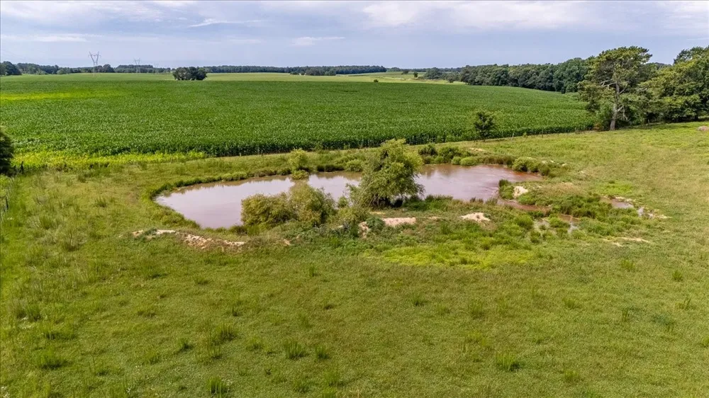 0 Marks Rd Leoma, TN 38468