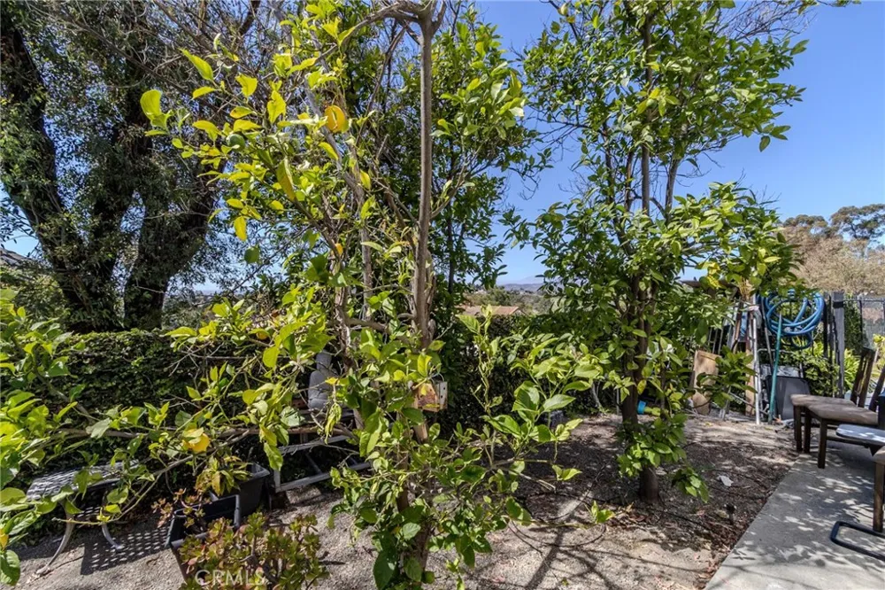 6415 E Stonebridge Anaheim Hills, CA 92807