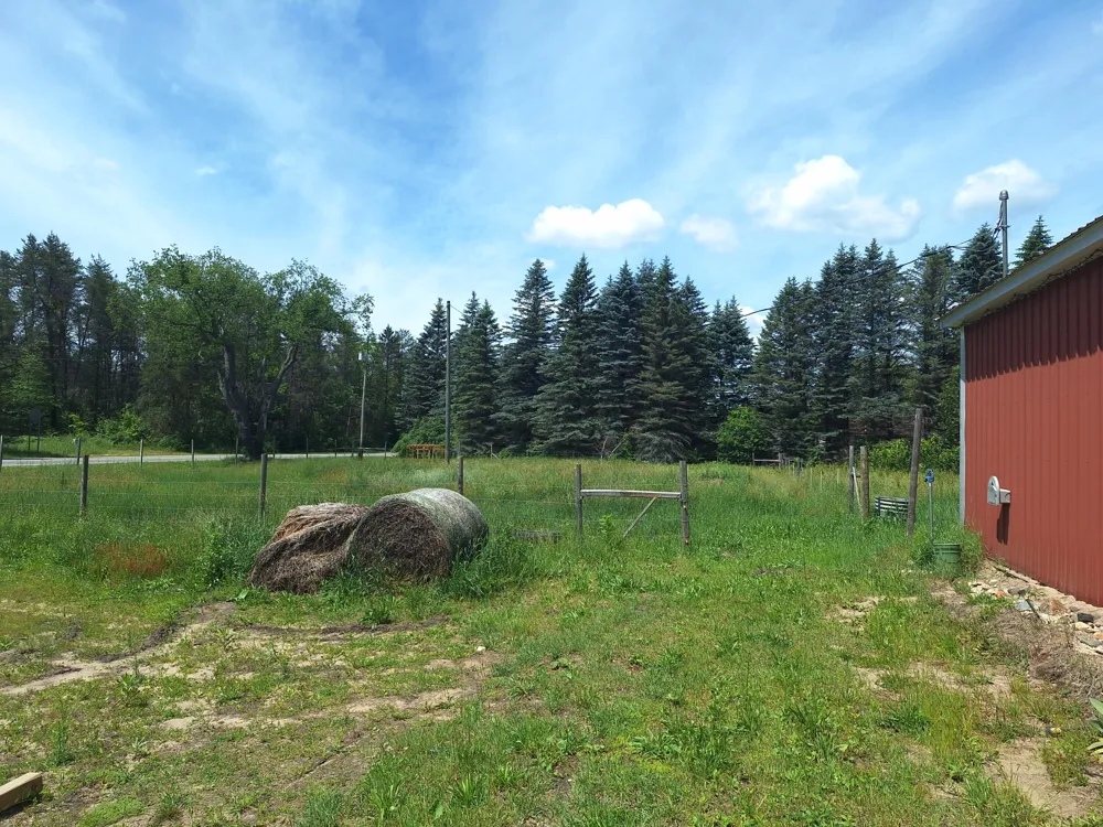 21024 Sylvan Reed City, MI 49677