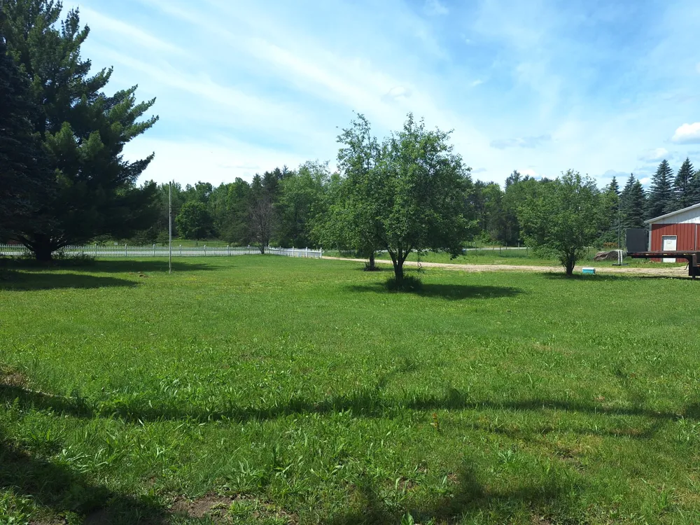 21024 Sylvan Reed City, MI 49677