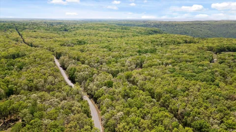 Deepwoods Road