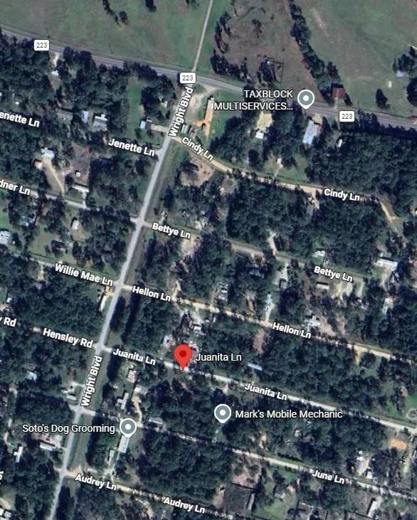 Juanita Lane Shepherd, TX 77371