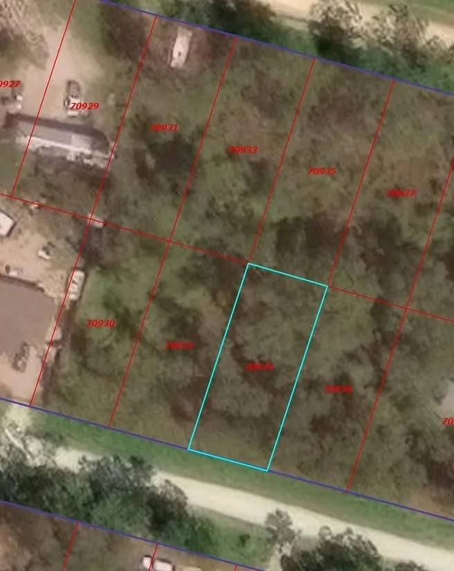 Juanita Lane Shepherd, TX 77371