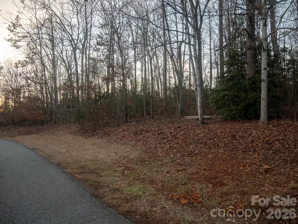 0 Plantation Drive Rutherfordton, NC 28139