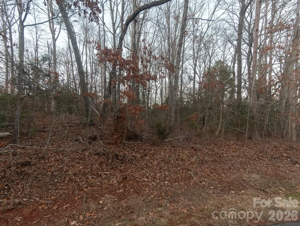0 Plantation Drive Rutherfordton, NC 28139