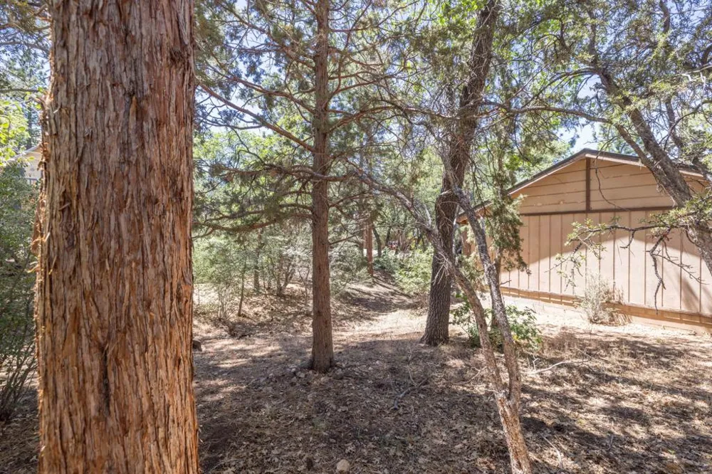 810 Vista Avenue Sugarloaf, CA 92386