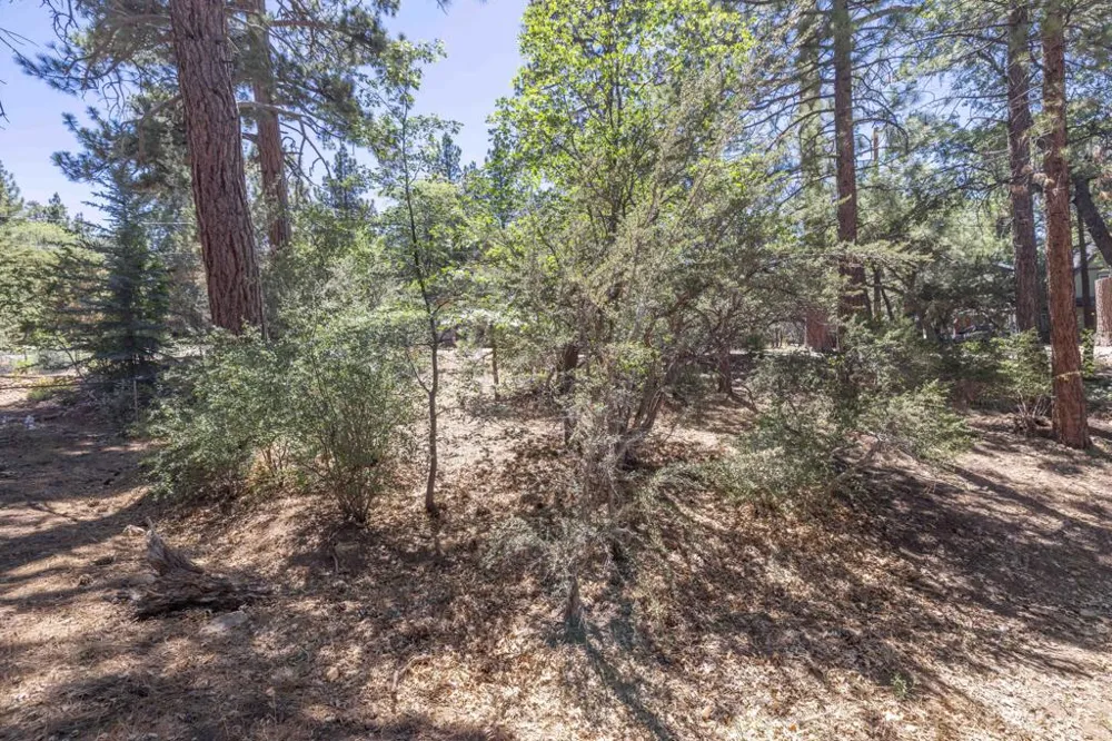 810 Vista Avenue Sugarloaf, CA 92386