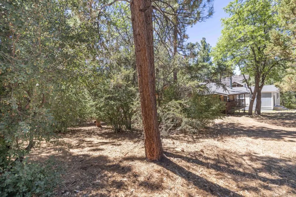 810 Vista Avenue Sugarloaf, CA 92386