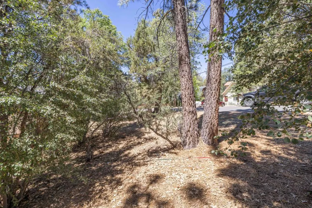 810 Vista Avenue Sugarloaf, CA 92386
