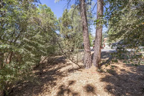 810 Vista Avenue
