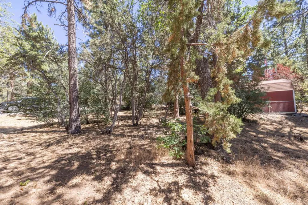 810 Vista Avenue Sugarloaf, CA 92386