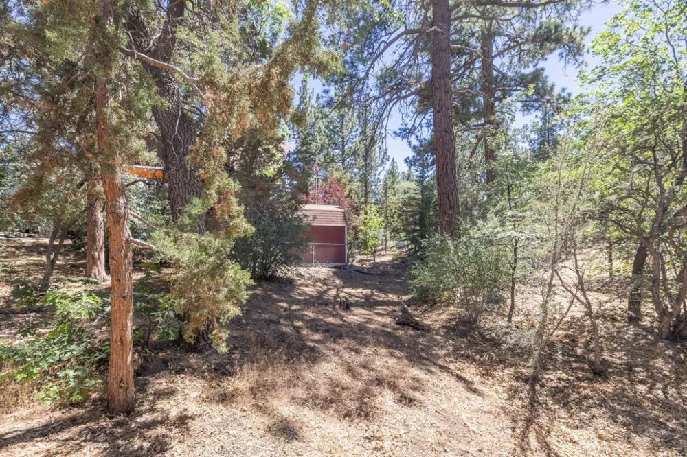 810 Vista Avenue Sugarloaf, CA 92386