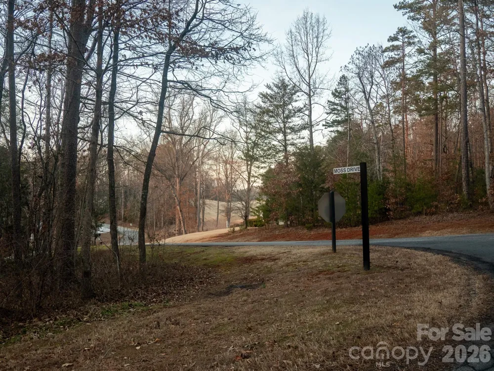 00 Moss Drive Rutherfordton, NC 28139