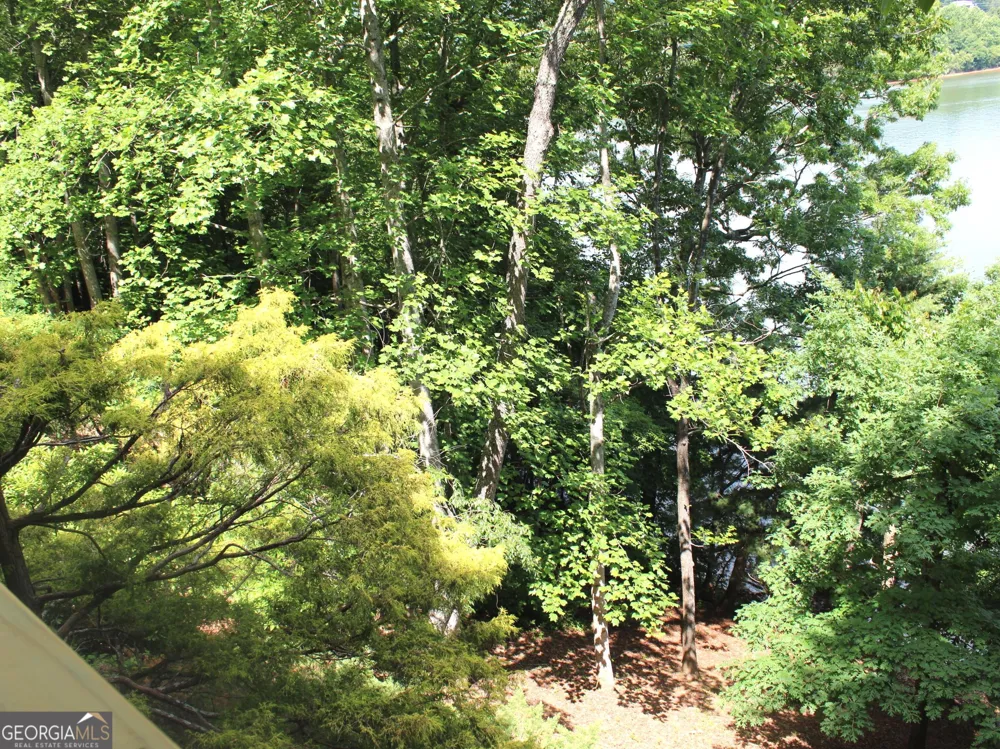772 Big Oak LN Hiawassee, GA 30546