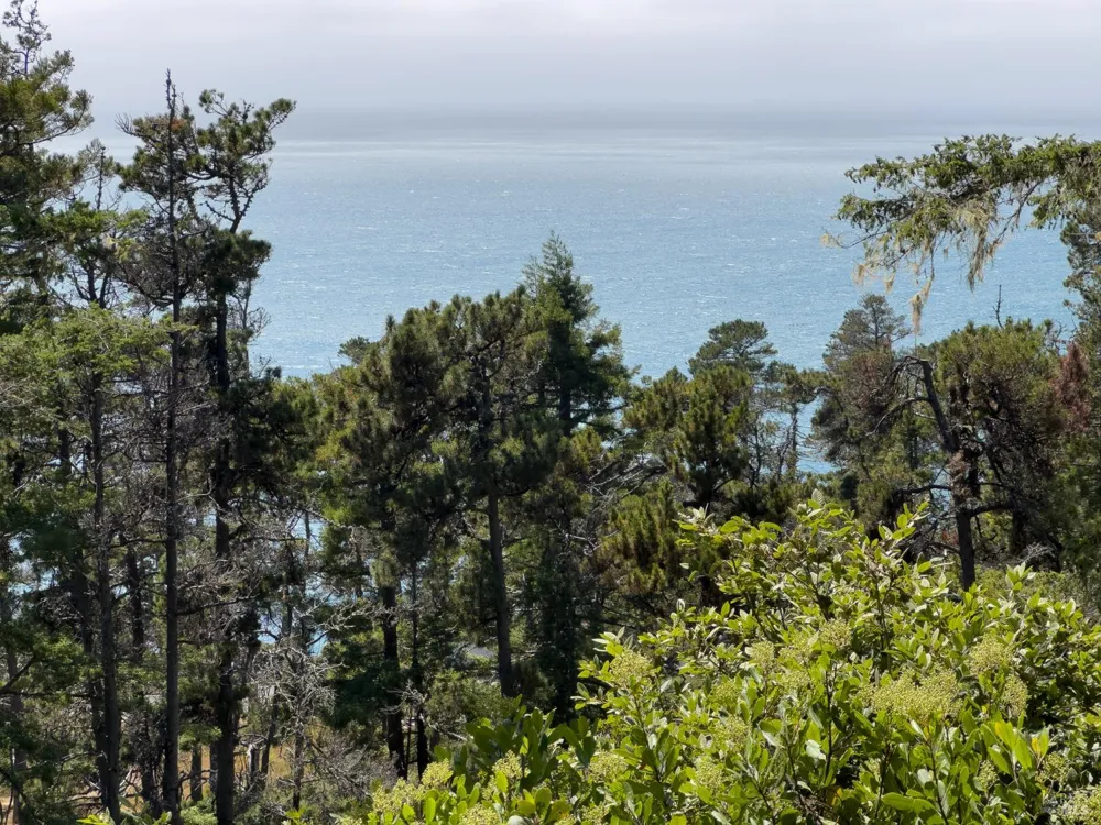 46900 Gypsy Flat Road Gualala, CA 95445