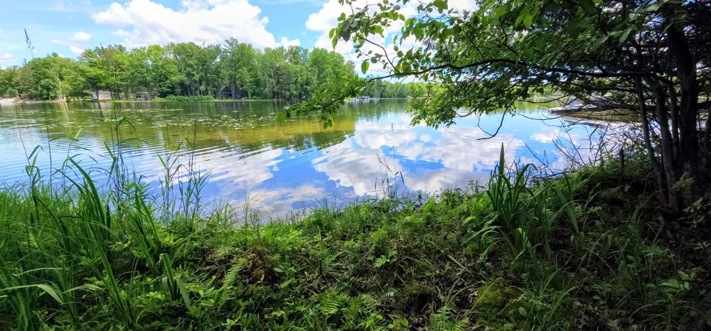 Red Oak Trail Mills Township, MI 48610