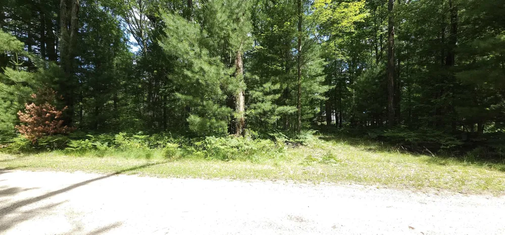 Red Oak Trail Mills Township, MI 48610