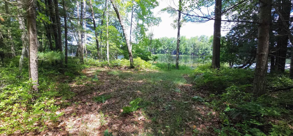 Red Oak Trail Mills Township, MI 48610