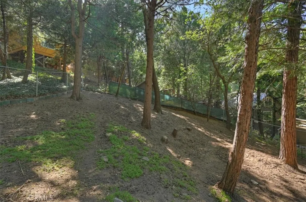 23869 Wildwood Crestline, CA 92325