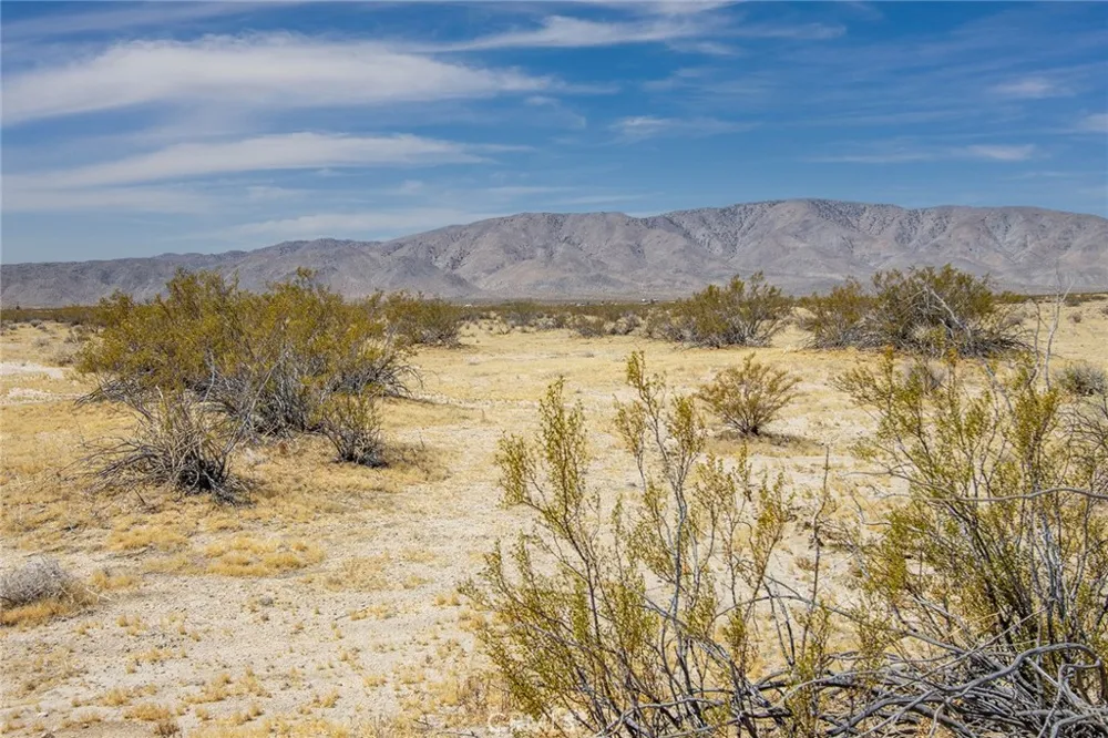4444 Valley Vista Johnson Valley, CA 92285