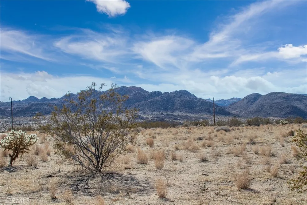 2222 Valley Vista Johnson Valley, CA 92285