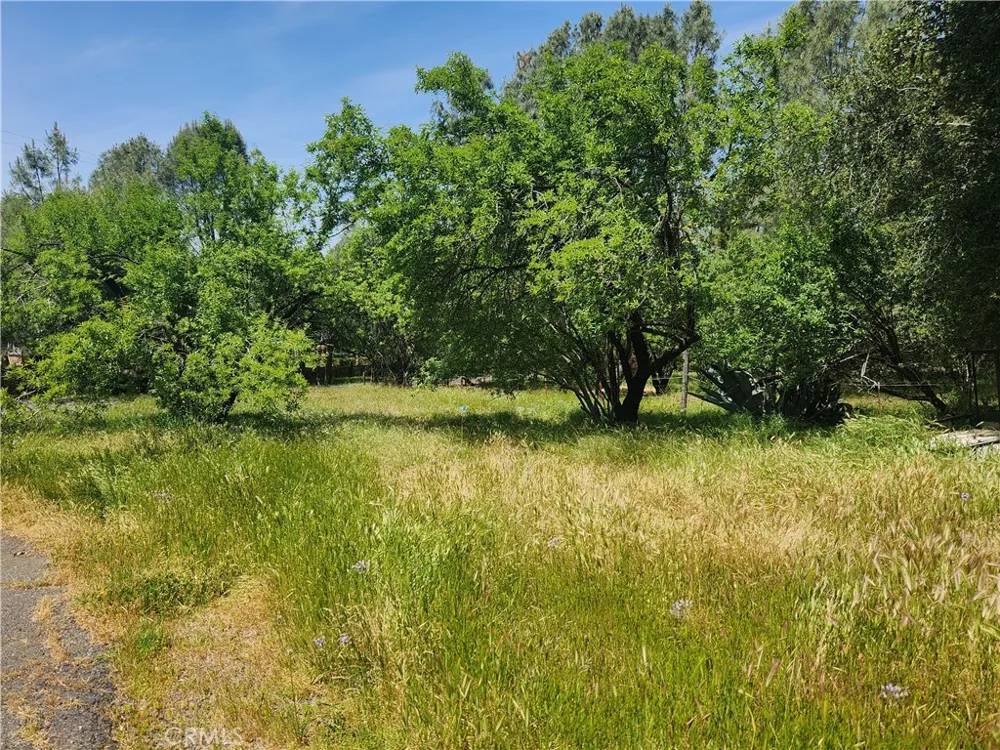 105 Pinedale Avenue Oroville, CA 95966