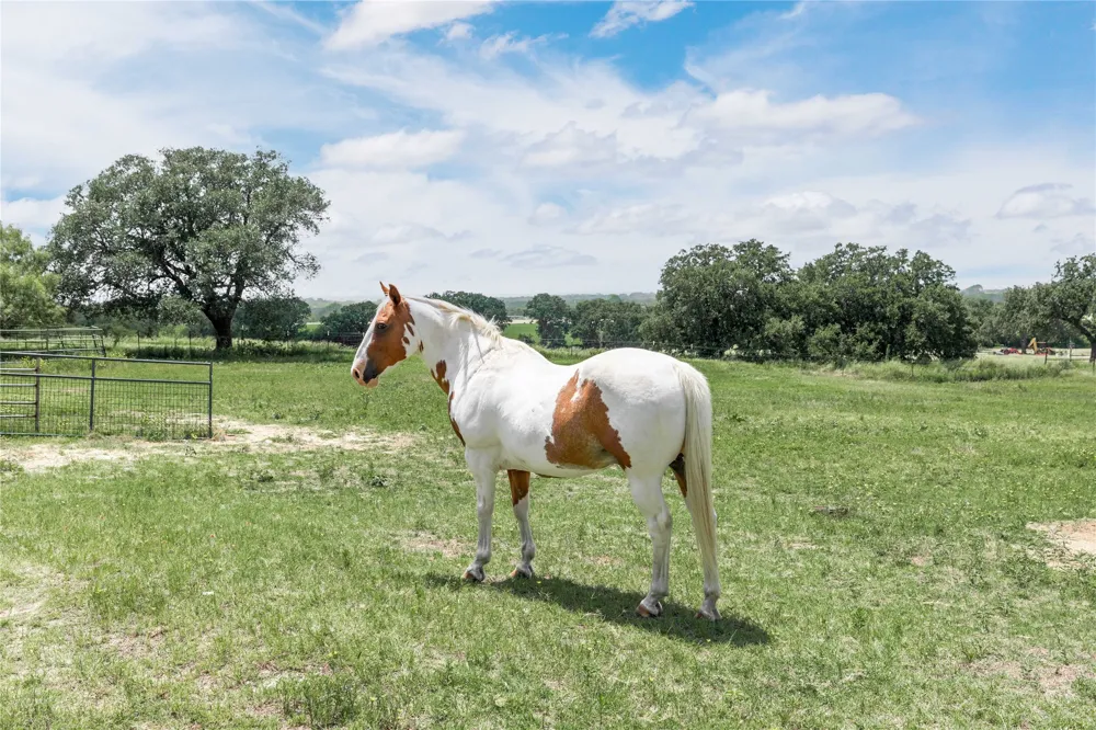 3718 Highway 36 W Rising Star, TX 76471