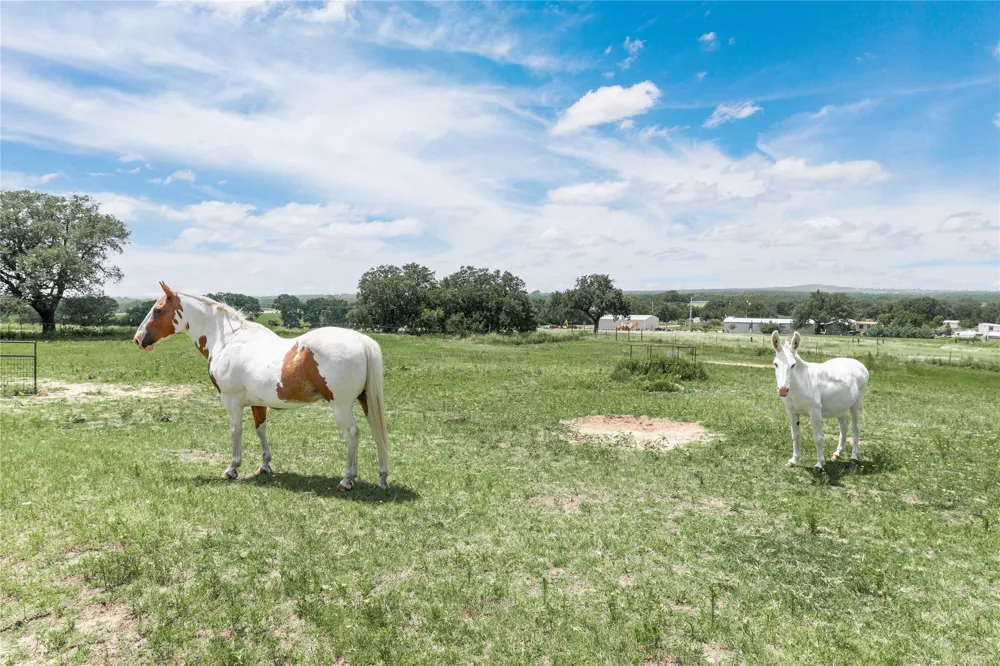 3718 Highway 36 W Rising Star, TX 76471